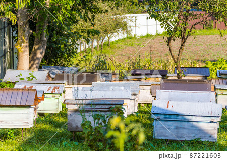 Apiary Apiary 87221603