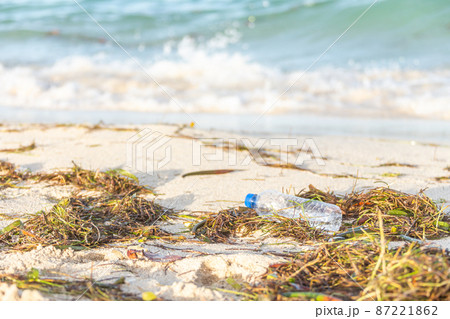plastic bottle with cap washed up on beach mixed with seaweed 87221862