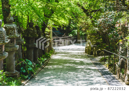 第一番札所　南蔵院 87222032