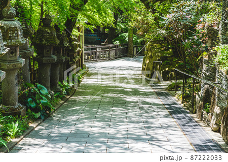 第一番札所　南蔵院 87222033