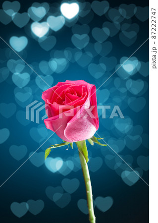 red rose with blue bokeh hearts background 87222747