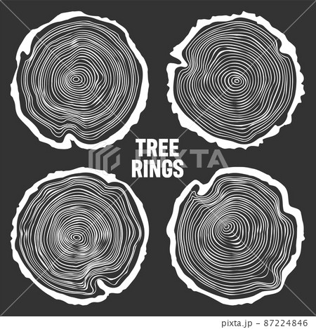 White round tree trunk cuts, sawn pine or oak slices, lumber. Saw cut timber, wood. Wooden texture 87224846