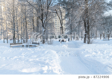 Trees in hoarfrost in a city park in Moscow, Russia 87224906