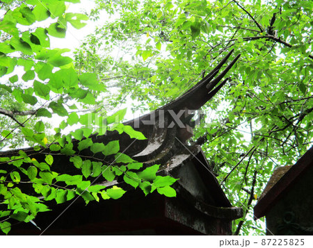 原住民 先住民族 部族 87225825