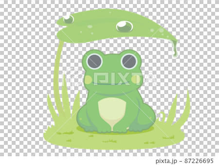 雨宿りするカエルのイラスト 87226695