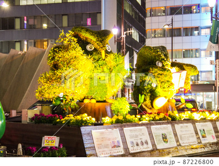 池袋駅西口周辺 ライトアップ 池袋駅西口周辺 ライトアップ 87226800