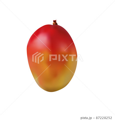 mango gradient mesh vector element clip art 87228252
