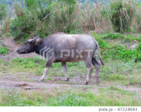 景色 風景 湖 87228683