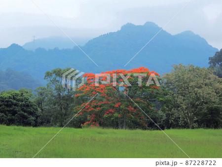 景色 風景 湖 87228722