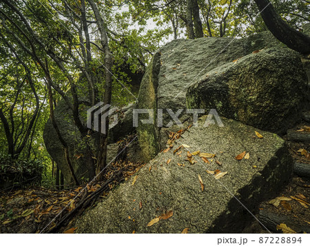 【香川】小豆島 大阪城石垣 石切丁場跡 天狗岩丁場 87228894