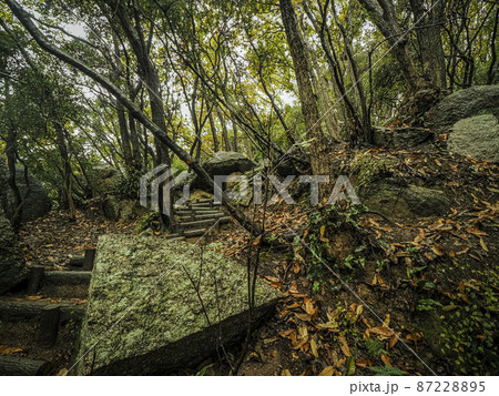 【香川】小豆島 大阪城石垣 石切丁場跡 天狗岩丁場 87228895