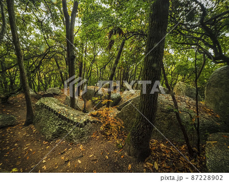 【香川】小豆島 大阪城石垣 石切丁場跡 天狗岩丁場 【香川】小豆島 大阪城石垣 石切丁場跡 天狗岩丁場 87228902