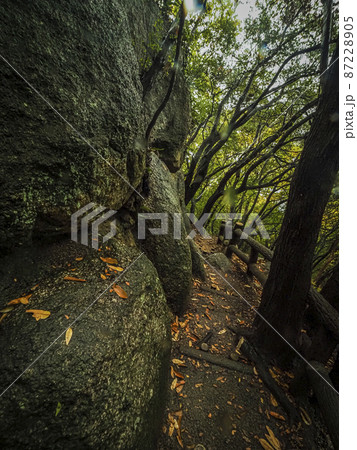 【香川】小豆島 大阪城石垣 石切丁場跡 天狗岩丁場 【香川】小豆島 大阪城石垣 石切丁場跡 天狗岩丁場 87228905