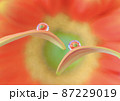 雫 87229019