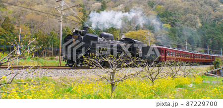埼玉・秩父鉄道SLパレオエクスプレス 埼玉・秩父鉄道SLパレオエクスプレス 87229700