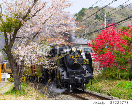 埼玉・秩父鉄道SLパレオエクスプレス 87229773