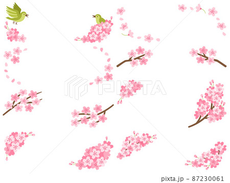 桜の花と枝の飾りフレームセット 87230061