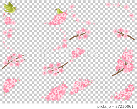 桜の花と枝の飾りフレームセット 87230061