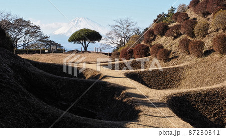 山中城の障子堀と富士山 87230341
