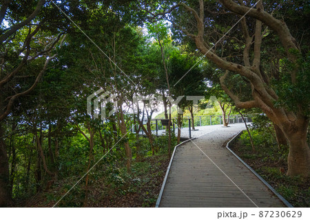 《三重県　志摩市》横山展望台 87230629