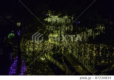 倉敷みらい公園 くらしき きらめきのみちイルミネーション 岡山県倉敷市 倉敷みらい公園 くらしき きらめきのみちイルミネーション 岡山県倉敷市 87230834