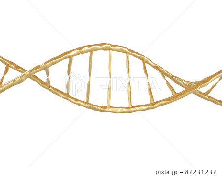 Segment of golden DNA structure on white background 87231237