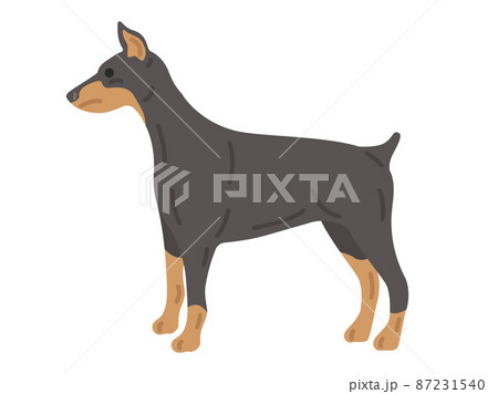 is the german pinscher legal in brunei