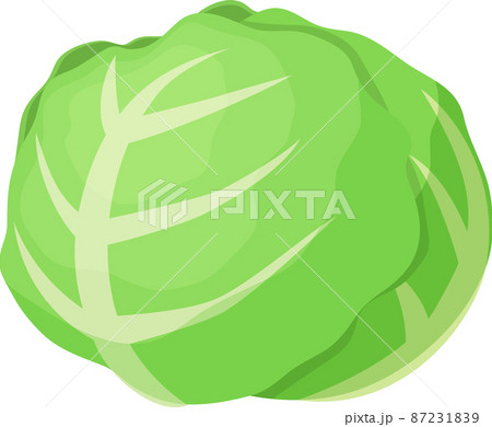 かわいいキャベツのイラストのイラスト素材 かわいいキャベツのイラストのイラスト素材