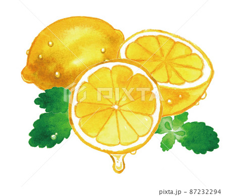 水滴したたるレモンとミント 手描き水彩イラストのイラスト素材