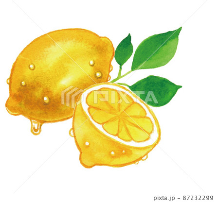 水滴したたるレモン 手描き水彩イラストのイラスト素材