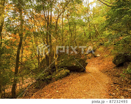 【香川】小豆島 寒霞渓の紅葉 【香川】小豆島 寒霞渓の紅葉 87232493