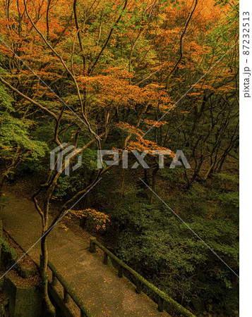 【香川】小豆島 寒霞渓の紅葉 【香川】小豆島 寒霞渓の紅葉 87232513