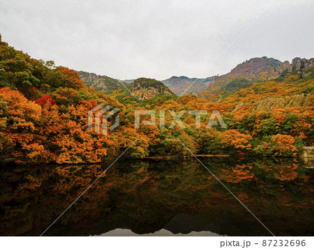 【香川】小豆島 寒霞渓の紅葉 【香川】小豆島 寒霞渓の紅葉 87232696