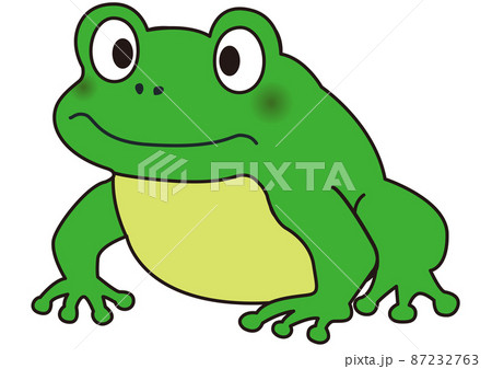 Frog Frog Frog Tree Frog Animal Zoo Cute Stock Illustration