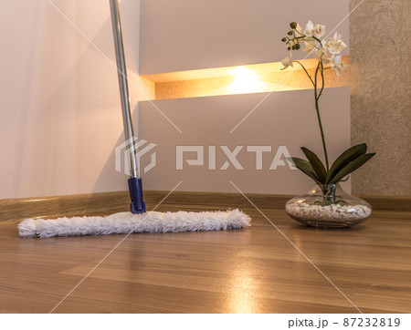 Cleaning Cleaning 87232819
