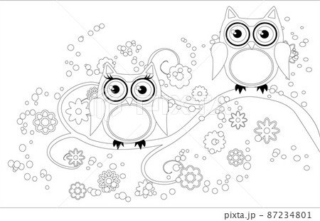 Coloring book for adult and older children. Coloring page with cute owl and flowers. Outline drawing 87234801