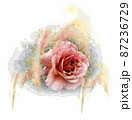 白背景に薔薇 87236729