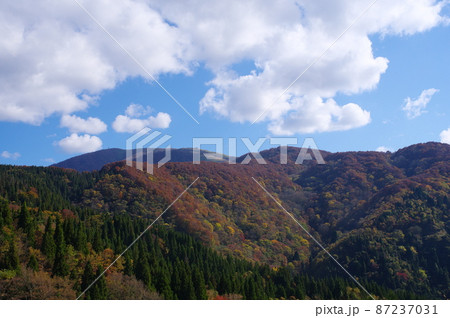 秋の部子山 福井県今立郡池田町 秋の部子山 福井県今立郡池田町 87237031