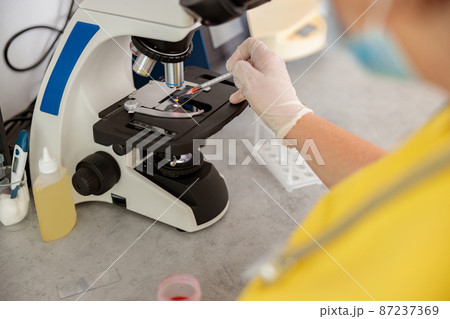 Female vet scientist doing tests in modern laboratory 87237369