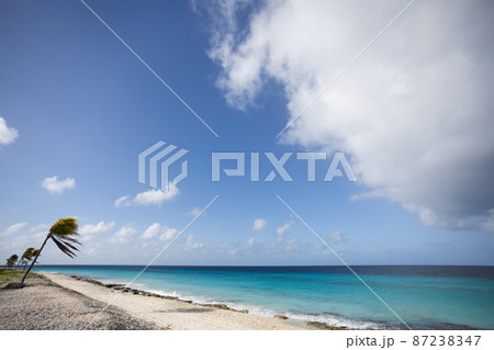 Tropical beach with palm trees. Summer holidays concept. 87238347
