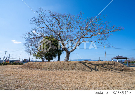 《福岡県》小郡官衙遺跡群 上岩田遺跡(国指定史跡) 《福岡県》小郡官衙遺跡群 上岩田遺跡(国指定史跡) 87239117