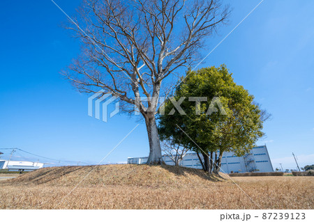 《福岡県》小郡官衙遺跡群 上岩田遺跡(国指定史跡) 《福岡県》小郡官衙遺跡群 上岩田遺跡(国指定史跡) 87239123
