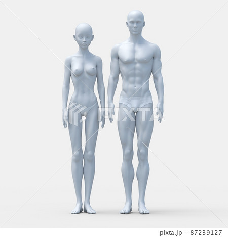 男女の違い　下着あり　体型の比較　perming3DCG イラスト素材 87239127