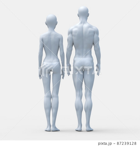 男女の違い 後ろ姿 下着あり 体型の比較 perming3DCG イラスト素材 男女の違い 後ろ姿 下着あり 体型の比較 perming3DCG イラスト素材 87239128
