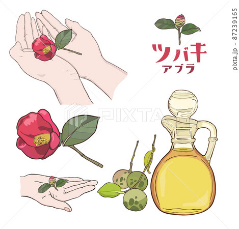 両手に椿の花・オイルの瓶と椿・椿のつぼみ・ツバキ 両手に椿の花・オイルの瓶と椿・椿のつぼみ・ツバキ 87239165