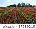 公園 87239215