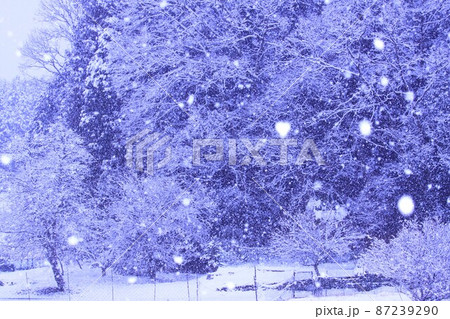 雪景色 87239290