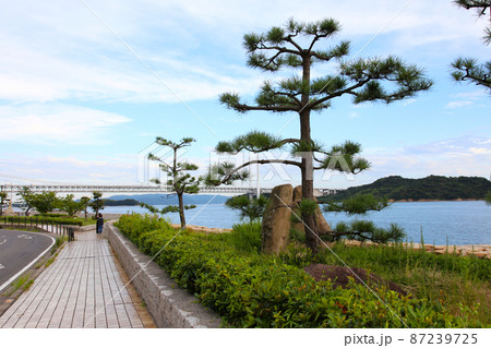 下津井港 下津井漁港 瀬戸大橋 岡山県倉敷 瀬戸内海 下津井港 下津井漁港 瀬戸大橋 岡山県倉敷 瀬戸内海 87239725