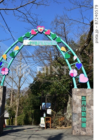 大阪池田 五月山動物園 大阪池田 五月山動物園 87240579