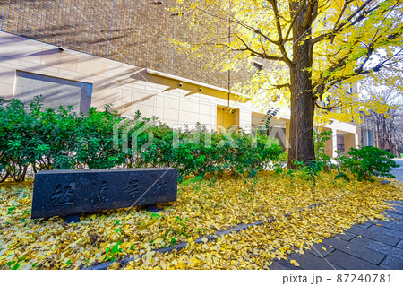 東京大学経済学部 東京大学経済学部 87240781